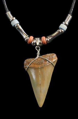 Fossil Mako Shark Tooth Necklace #43057